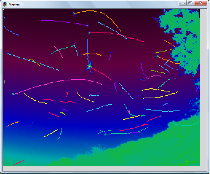 Foraging bats -- tracks